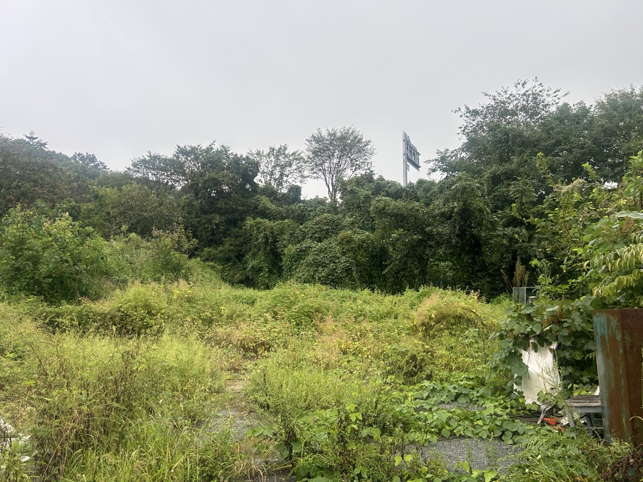 f93464a7a6b46aba1acff060ec20df77_1760937612_5048.jpg f93464a7a6b46aba1acff060ec20df77_1760937612_5048.jpg