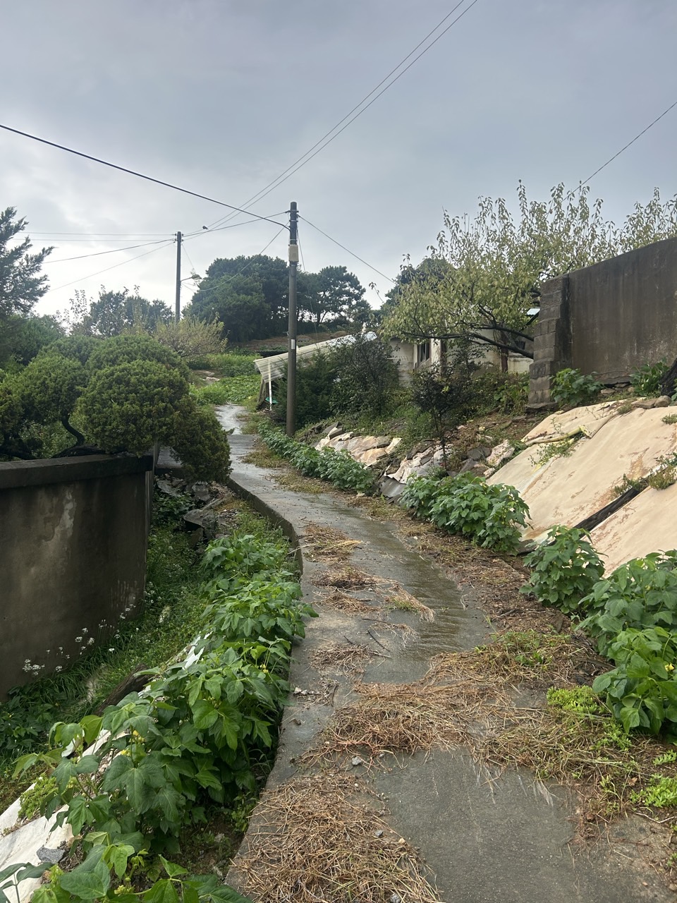 f93464a7a6b46aba1acff060ec20df77_1760937612_766.jpg f93464a7a6b46aba1acff060ec20df77_1760937612_766.jpg