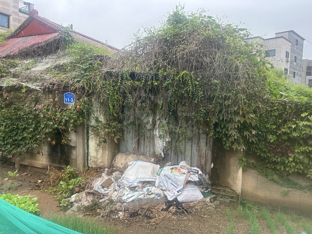 f93464a7a6b46aba1acff060ec20df77_1760937612_8558.jpg f93464a7a6b46aba1acff060ec20df77_1760937612_8558.jpg