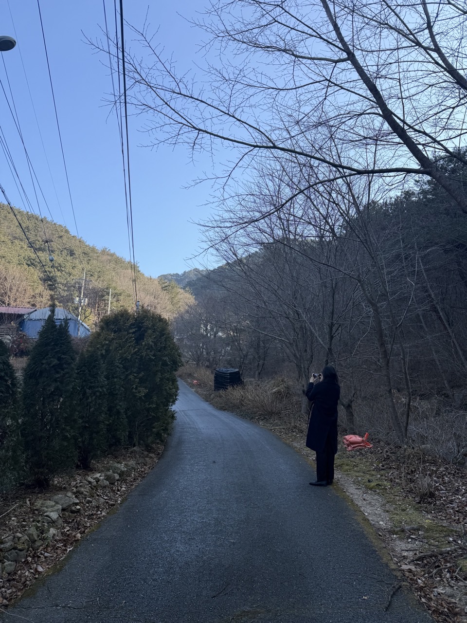 6ec32004d6144ee7ca49d1298557b5e1_1768801303_7477.jpg 6ec32004d6144ee7ca49d1298557b5e1_1768801303_7477.jpg