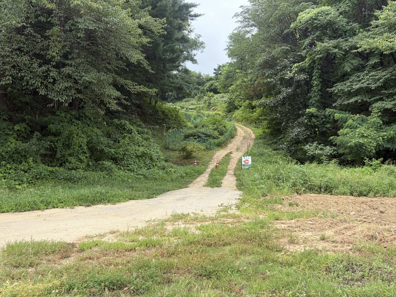 db815b7f499bdeb3dc710780d6655880_1786065782_5968.jpg